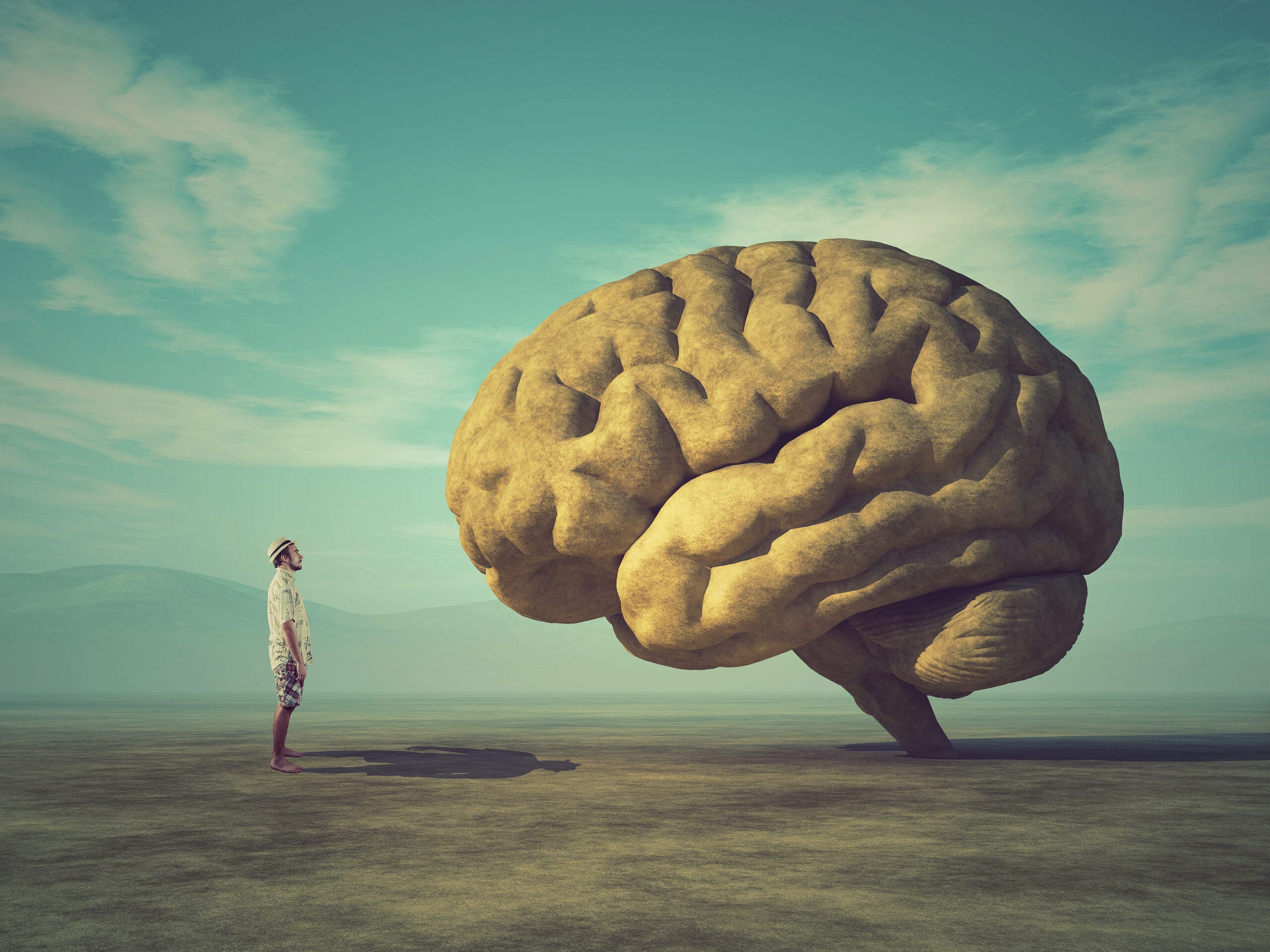 De la localización al cerebro en red: cómo cambiaron las escuelas neurocognitivas